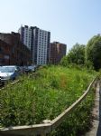 Biospheric Project Summer 2016
